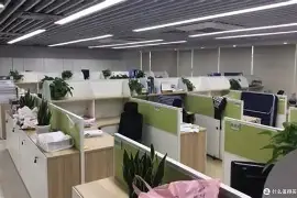 战报｜网球早间盘点：洛斯卡沃斯赛场爆出悬念、巡回赛积分与年轻球员争取排名突破，体坛热度继续上扬
