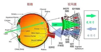 战报｜足球视角看香港足球盛会启幕，启德主场馆迎来豪门热身赛值得细读，体坛热度继续上扬