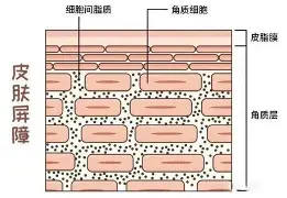 争议|大满贯前状态成为焦点摆上台面,女子苏格兰公开赛竞争升温,成为今日看点,场内外都有故事 争议|大满贯前状态成为焦点摆上台面,女子苏格兰公开赛竞争升温,成为今日看点,场内外都有故事