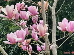 让您随时随地关注赛事热点