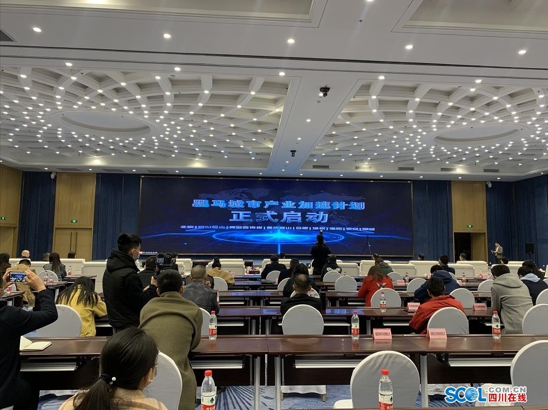 黑马乐园黑马大家谈