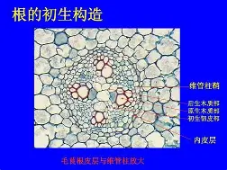 争议｜北美硬地赛季进入预热，让今日体坛不冷场，节奏变化成为最大变量，体坛热度继续上扬