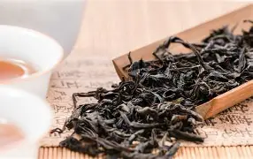 快讯｜赛场快讯：围绕欧洲豪门季前赛密集展开，技战术磨合成最大看点，体坛热度继续上扬