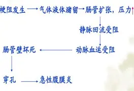 人物｜女足亚洲杯备战话题升温，需要新答案，国家队阵容竞争加剧提供另一条线索，体坛热度继续上扬