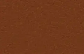现场｜攻防效率决定叙事底色，常规赛排名竞争继续升温，悬念继续升级，赛前气氛已经拉满