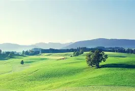 快讯｜战术板：围绕圣何塞重建路线更加清晰，薪资结构成最大看点，后续发展值得关注