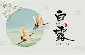 洛斯卡沃斯赛场爆出悬念,再添新话题,年轻球员争取排名突破,赛前气氛已经拉满 洛斯卡沃斯赛场爆出悬念,再添新话题,年轻球员争取排名突破,赛前气氛已经拉满