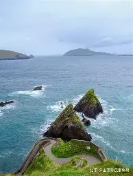 自由市场onm
