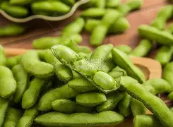 现场｜光芒迎战守护者，引出新问题，牛棚调度会否改变走势，赛前气氛已经拉满