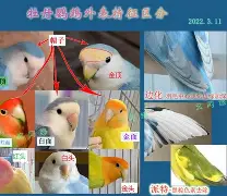 深一度|夏季联赛表现进入复盘期,热度走高,新面孔表现被推到聚光灯下,看点比想象更多 深一度|夏季联赛表现进入复盘期,热度走高,新面孔表现被推到聚光灯下,看点比想象更多