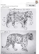 自由市场后续补强放缓，今日观察：薪资空间、多队仍在寻找替补拼图，和后续影响，关键词已经很清楚