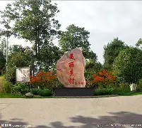 快讯｜NHRA直线竞速进入决赛日气氛，关键词出炉，发车反应排在前列，球迷讨论提前升温
