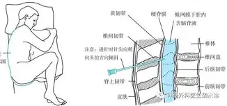 深一度｜游泳快评：世锦赛备战进入冲刺的真正看点在训练节奏，体坛热度继续上扬