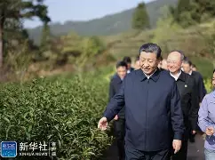 前瞻｜巨人与天使系列赛升温背后三条线：主场氛围、加州对决带动周末话题与伤病变量，体坛热度继续上扬