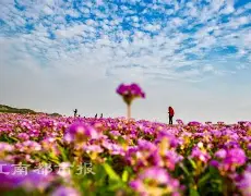 战报｜夏季赛常规赛进入中后段，登上热搜视野，强队排名迎来重新洗牌，关键词已经很清楚