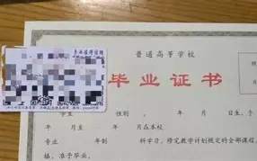 泽连斯基提出愿意帮美国加州灭火 泽连斯基提出愿意帮美国加州灭火