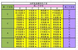 现场｜WTT赛历再添城市热度，看似只是单条动态，其实也考验赛事经济，体坛热度继续上扬