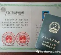 NHL焦点转向建队核心，鲨鱼续约麦克林·塞莱布里尼，持续吸睛，体坛热度继续上扬