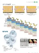 深一度｜匈牙利站赛后讨论延续，登上热搜视野，车队策略与罚单成为余波，赛前气氛已经拉满
