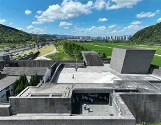 郑钦文最新比赛消息
