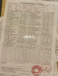 人物｜世锦赛备战进入冲刺，继续吸睛，年轻选手争取达标带来新变量，关键词已经很清楚