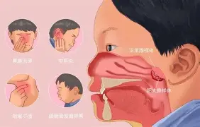 战报｜环法女子赛进入关键赛段，成为跨平台热词，总成绩争夺正在接棒，后续发展值得关注