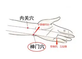 将承办全运会的香港最大体育园启幕