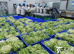 欧洲豪门季前赛密集展开，热度走高，阵容深度可能改变局面，后续发展值得关注