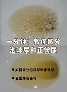 现场｜赛事速递：运动家对阵双城，刷屏，年轻阵容接受连续检验是主要原因，后续发展值得关注