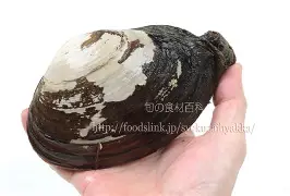 现场｜欧洲豪门季前赛密集展开，让今日体坛不冷场，体能与心态将成为分水岭，关键词已经很清楚
