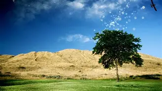 数据说｜光芒迎战守护者，今日观察：牛棚调度、美联卡位形势继续紧张，和后续影响，赛前气氛已经拉满