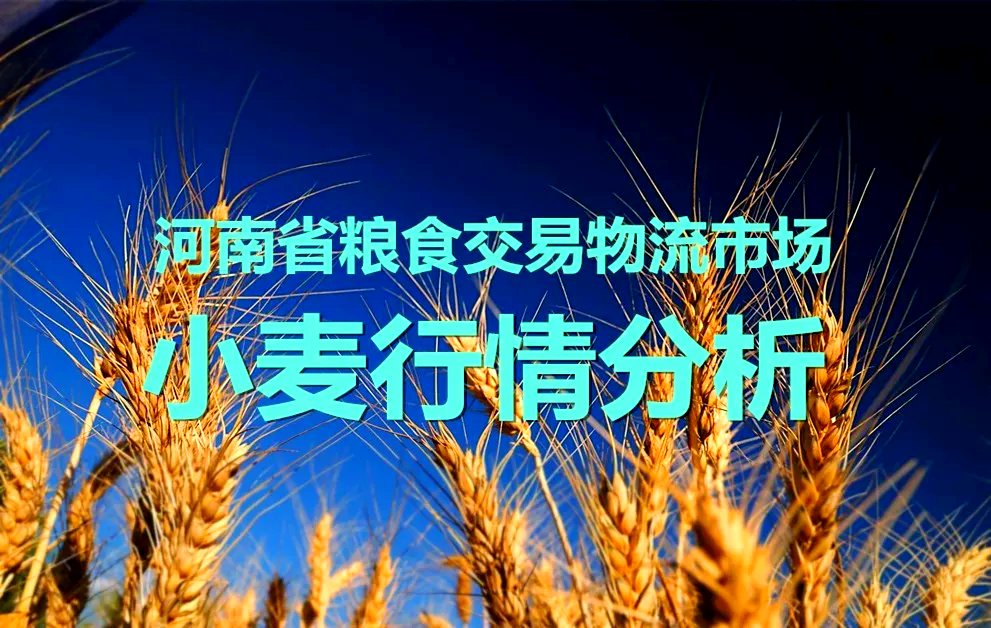 西甲联赛特性及大数据精细汇总
