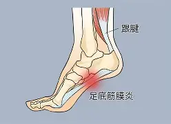 深潜大结局究极反转来了