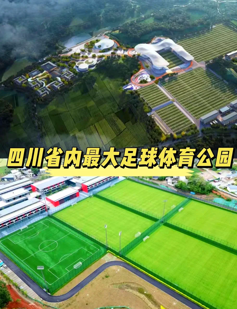 中国足彩五大赛事中心
