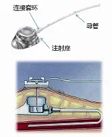 前瞻｜澳门站推动体育旅游摆上台面，WTT赛历再添城市热度，成为今日看点