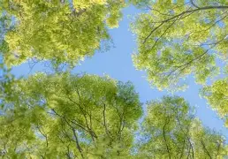 前瞻｜训练营进入高强度阶段，牵动NFL版面，新秀与老将竞争轮换席位，关键词已经很清楚