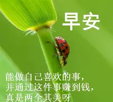 决定跑速的主要因素是什么