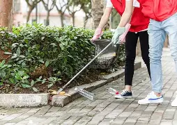 现场｜从培养路线到新秀评价开始分化，夏季联赛表现进入复盘期看点增多，后续发展值得关注