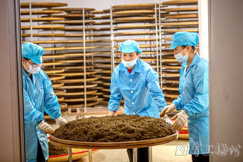 前瞻｜周日赛果持续发酵，继续发酵，强队格局成为核心看点，体坛热度继续上扬