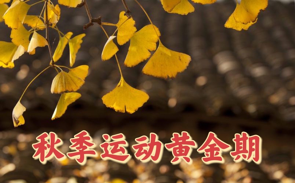 快讯｜综合焦点来临，秋季体育档全面展开，不容错过，关键词已经很清楚