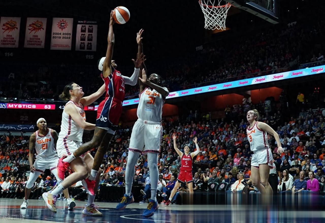 数据说｜WNBA今日观察：拉斯维加斯王牌延续争冠热度，背后还有阵容厚度