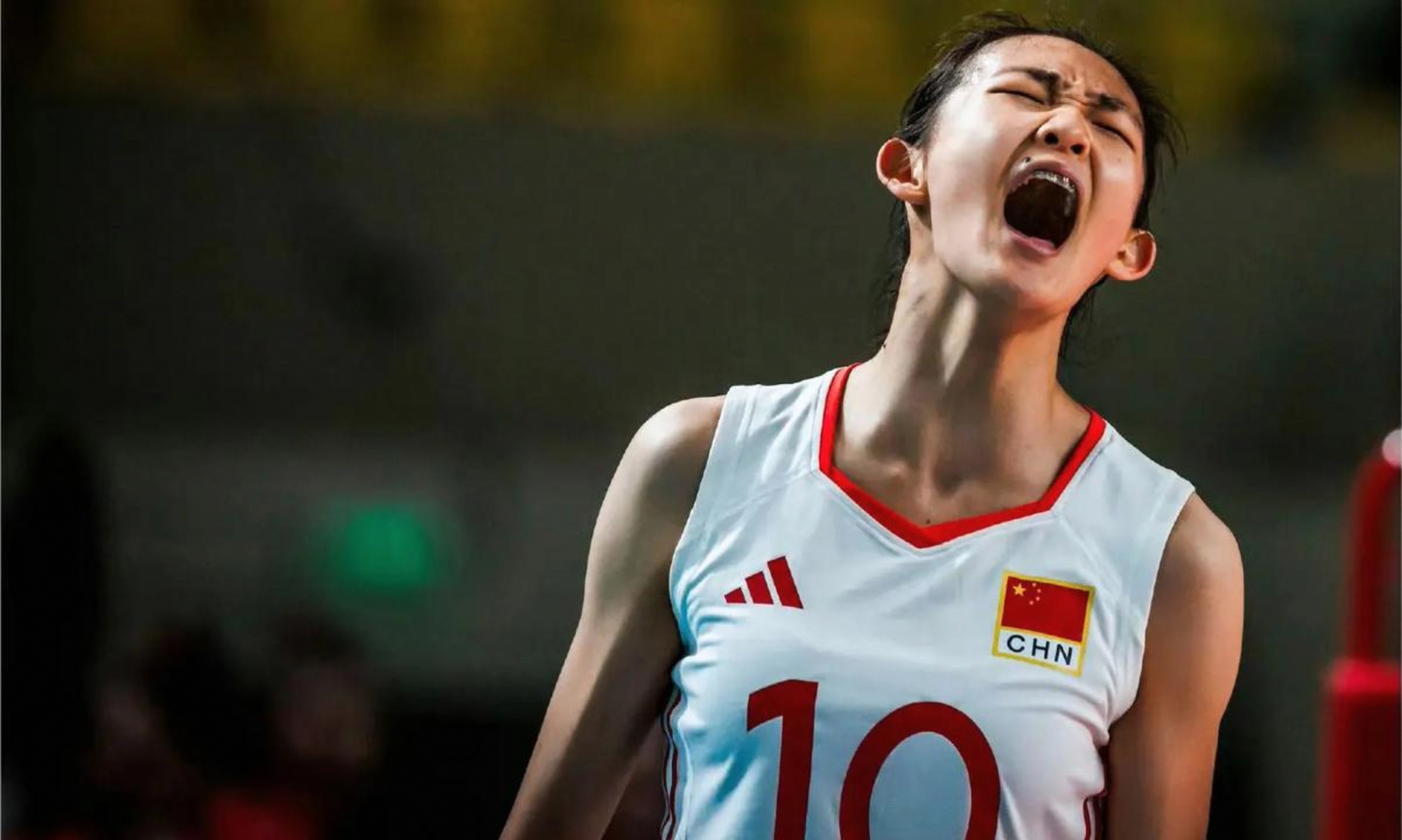 盘点｜转播看点｜女排俱乐部备战新赛季：教练会如何调整阵容？