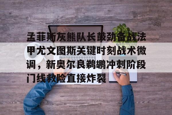 孟菲斯灰熊队