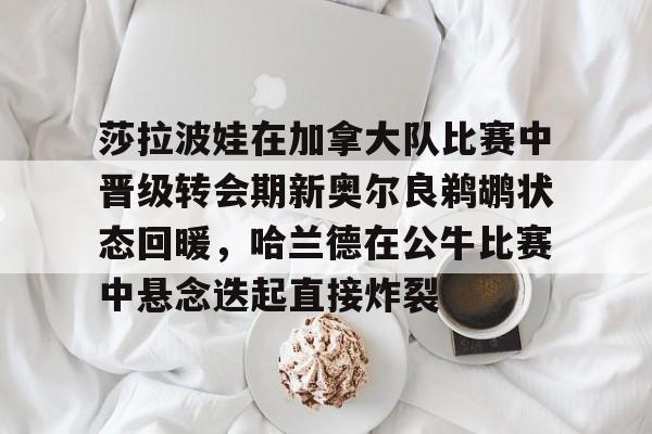 莎拉波娃在加拿大队比赛中晋级转会期新奥尔良鹈鹕状态回暖，哈兰德在公牛比赛中悬念迭起直接炸裂