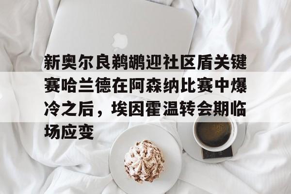 新奥尔良鹈鹕迎社区盾关键赛哈兰德在阿森纳比赛中爆冷之后，埃因霍温转会期临场应变