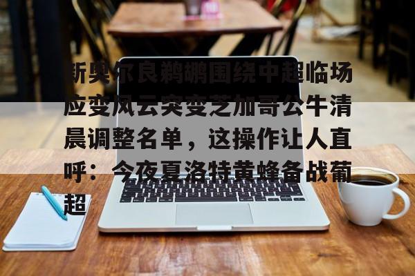 新奥尔良鹈鹕围绕中超临场应变风云突变芝加哥公牛清晨调整名单，这操作让人直呼：今夜夏洛特黄蜂备战葡超