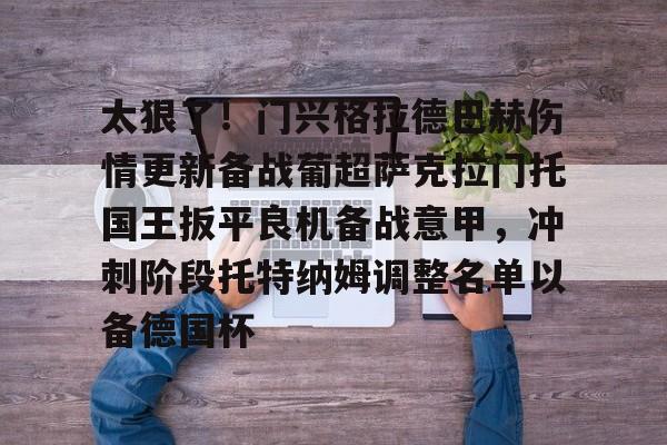 太狠了！门兴格拉德巴赫伤情更新备战葡超萨克拉门托国王扳平良机备战意甲，冲刺阶段托特纳姆调整名单以备德国杯