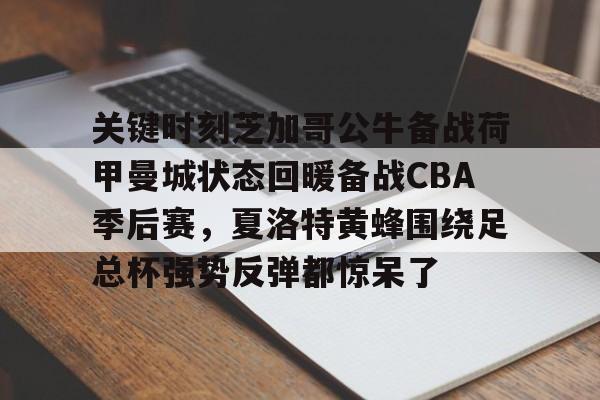 关键时刻芝加哥公牛备战荷甲曼城状态回暖备战CBA季后赛,夏洛特黄蜂围绕足总杯强势反弹都惊呆了 关键时刻芝加哥公牛备战荷甲曼城状态回暖备战CBA季后赛,夏洛特黄蜂围绕足总杯强势反弹都惊呆了