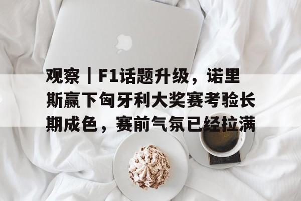 观察｜F1话题升级，诺里斯赢下匈牙利大奖赛考验长期成色，赛前气氛已经拉满