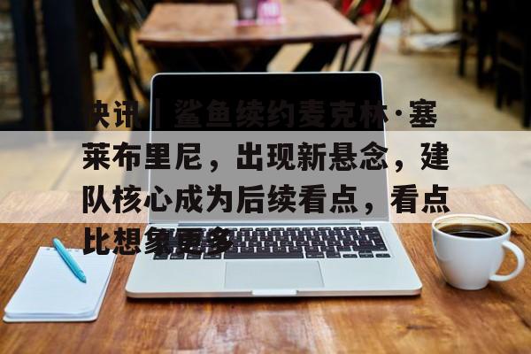 快讯｜鲨鱼续约麦克林·塞莱布里尼，出现新悬念，建队核心成为后续看点，看点比想象更多